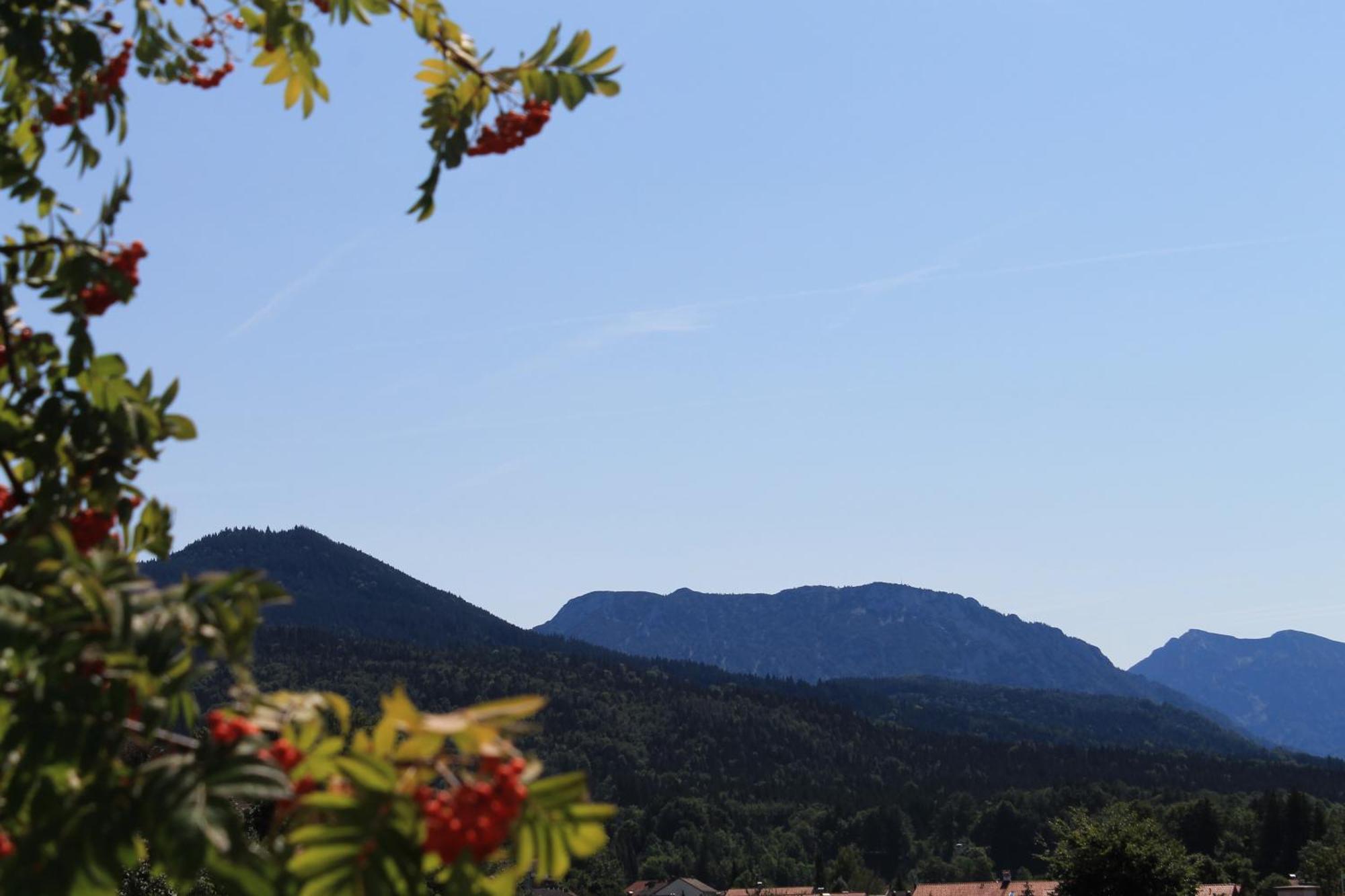 Hotel Garni Edelweiss Siegsdorf Zewnętrze zdjęcie