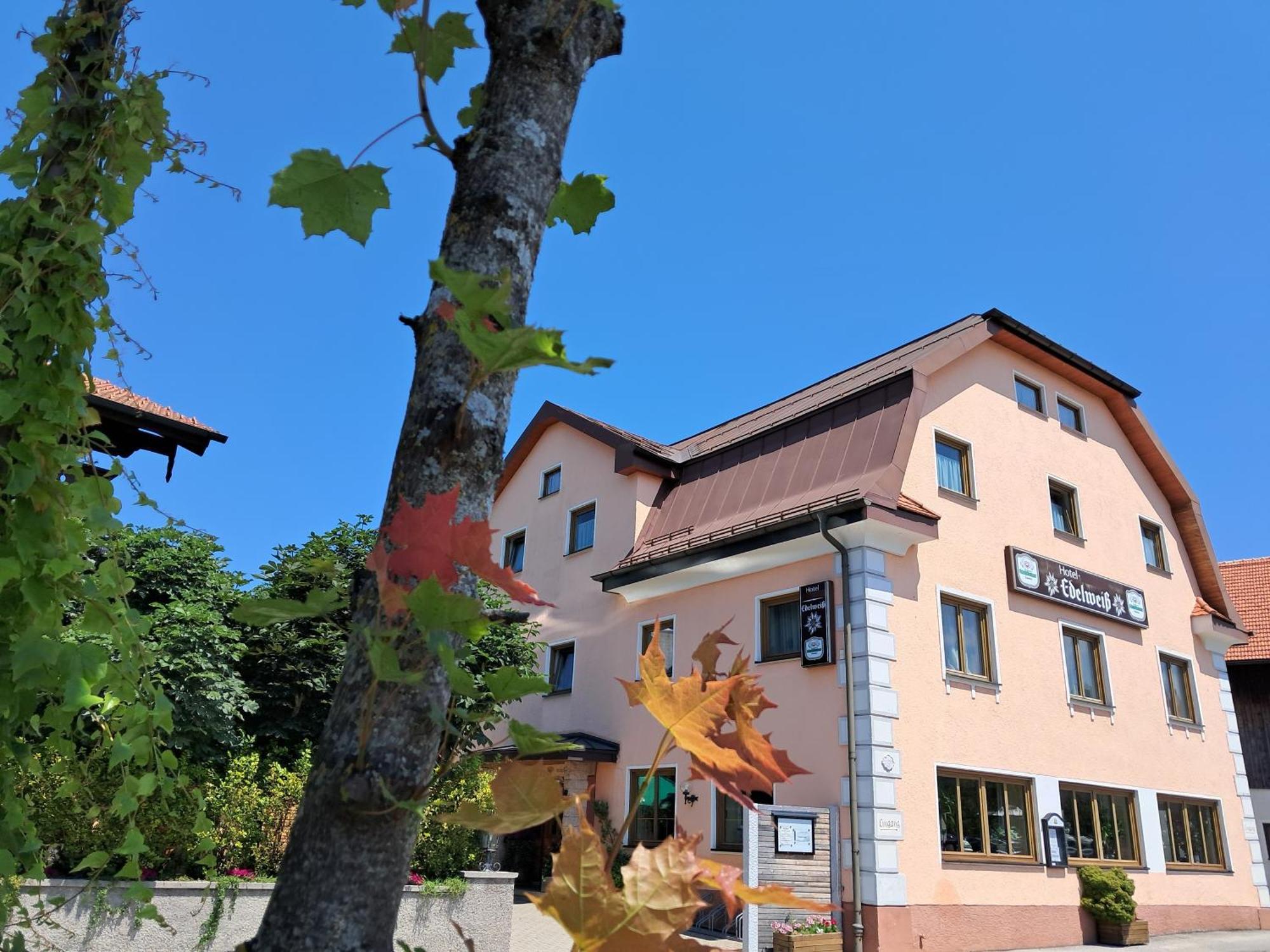 Hotel Garni Edelweiss Siegsdorf Zewnętrze zdjęcie